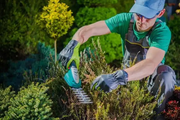 landscaping services Indian River